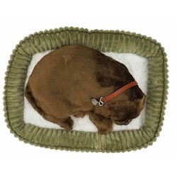 Интерактивная игрушка Perfect Petzzz Labrador (Brown) Thumb