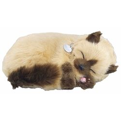 Интерактивная игрушка Perfect Petzzz Siamese Kitten (Brown/Dark Brown) Thumb