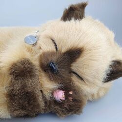 Интерактивная игрушка Perfect Petzzz Siamese Kitten (Brown/Dark Brown) Thumb