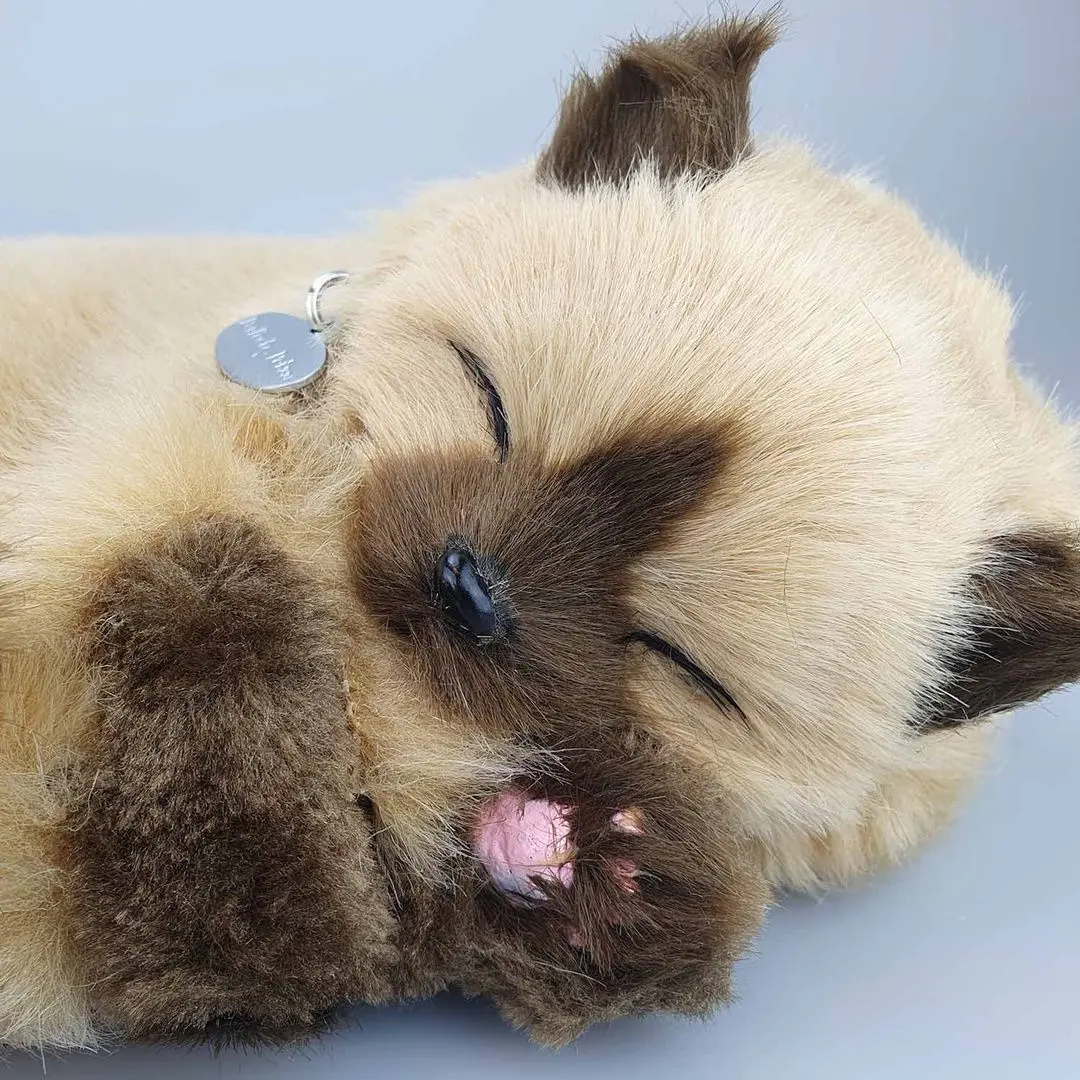 Интерактивная игрушка Perfect Petzzz Siamese Kitten (Brown/Dark Brown) - 3