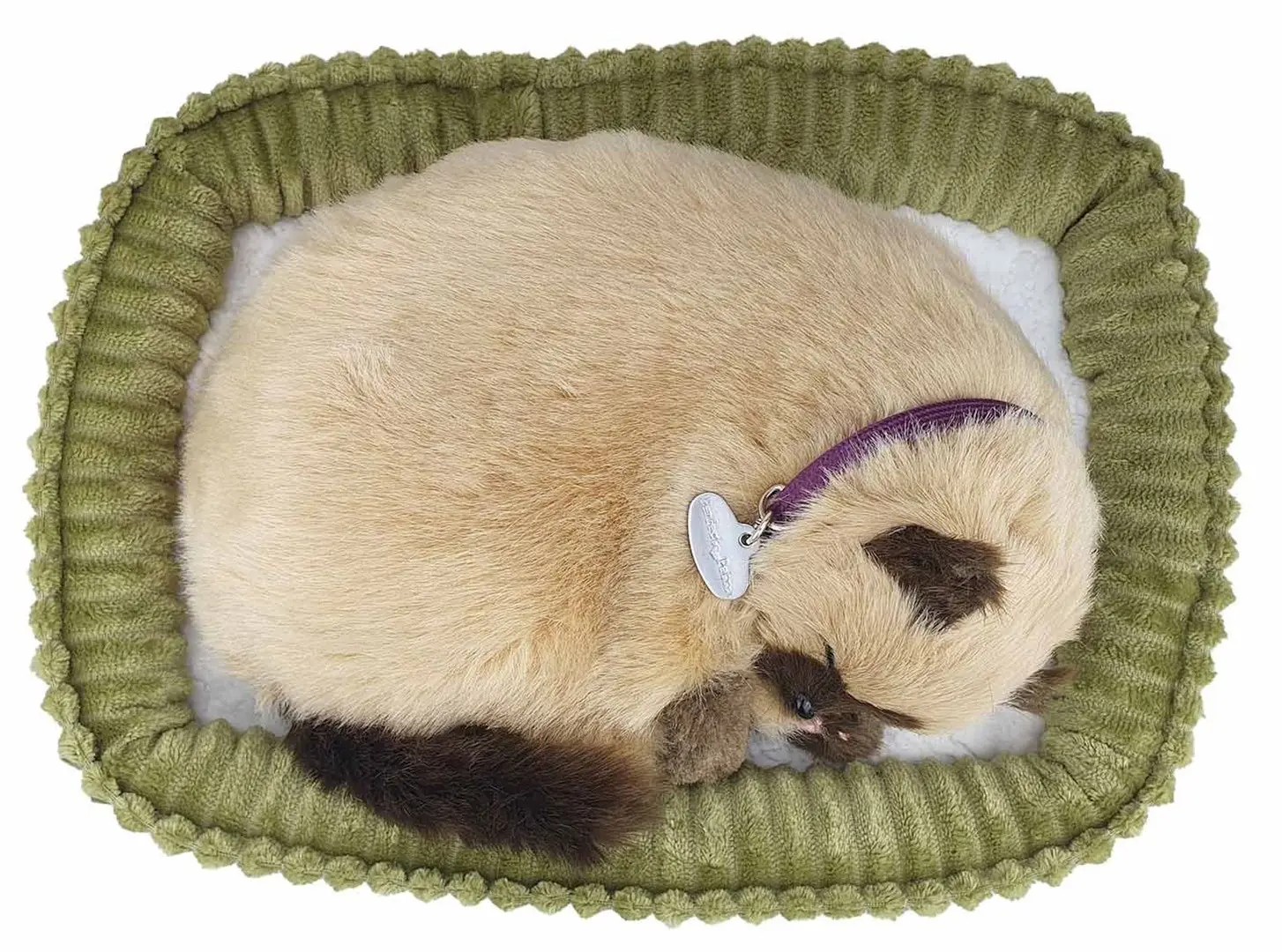 Интерактивная игрушка Perfect Petzzz Siamese Kitten (Brown/Dark Brown) - 4