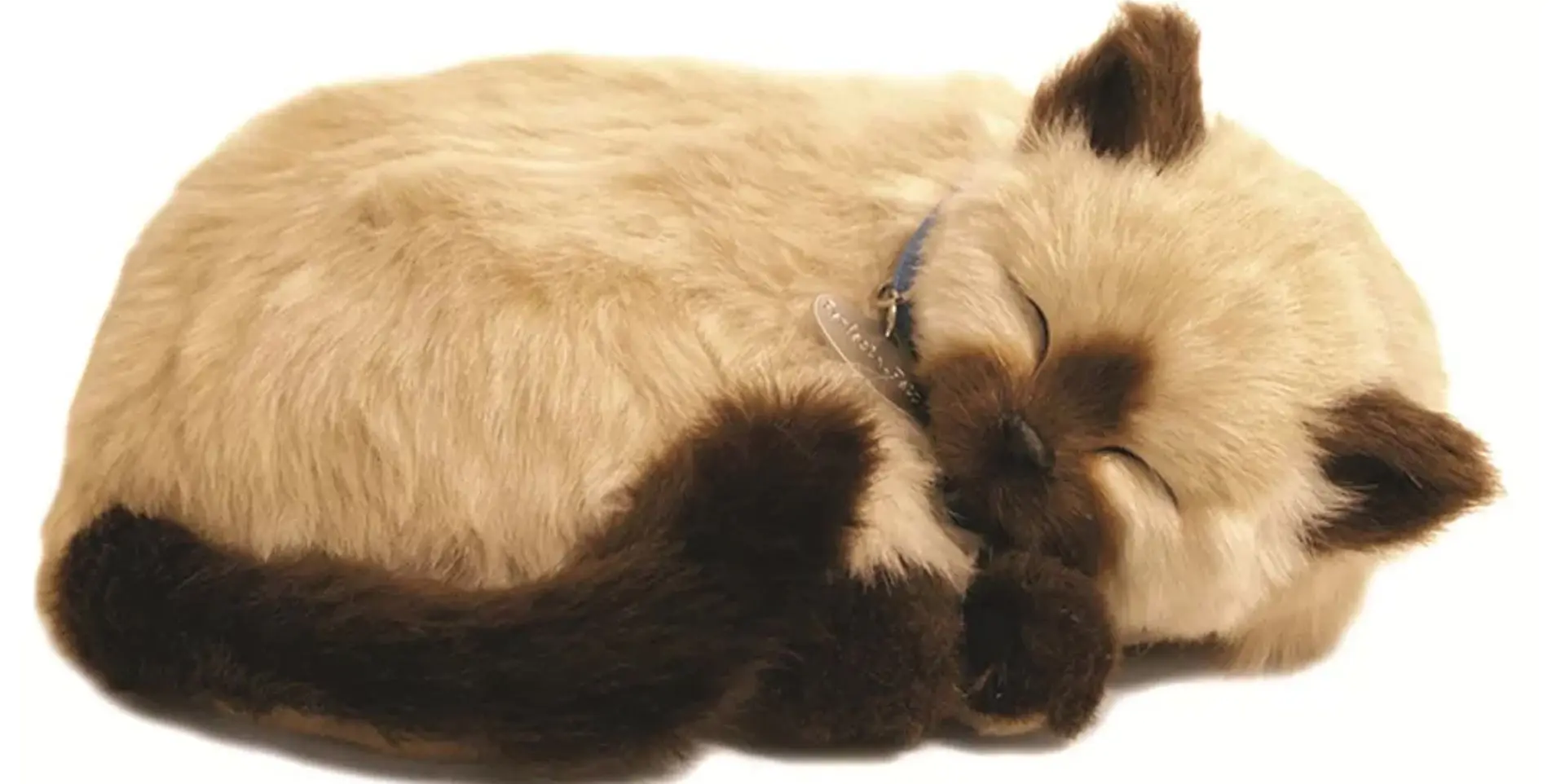 Интерактивная игрушка Perfect Petzzz Siamese Kitten (Brown/Dark Brown)