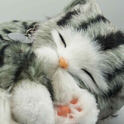 Интерактивная игрушка Perfect Petzzz Tabby Kitten (Grey) Thumb