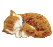 Jucarie interactiva Perfect Petzzz Tabby Kitten (Orange)