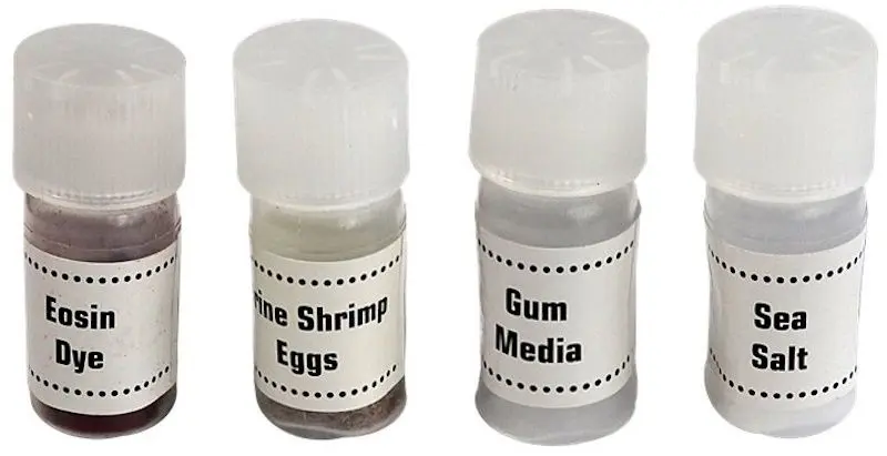 Детский микроскоп LeanToys 5427 (Black/White)