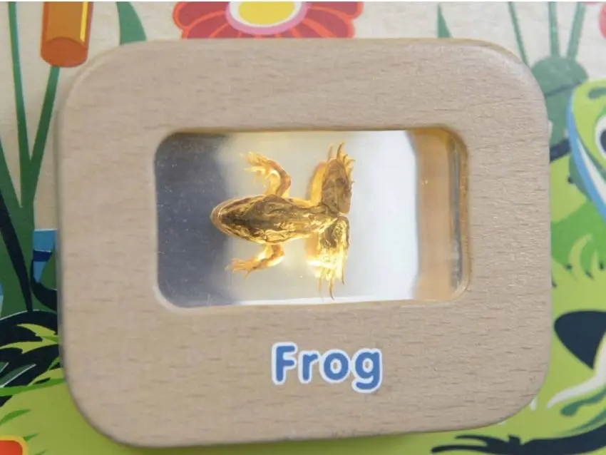 Интерактивная настенная игрушка Masterkidz ME13224 (Multicolor) - 4