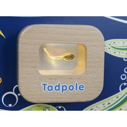 Интерактивная настенная игрушка Masterkidz ME13224 (Multicolor) Thumb