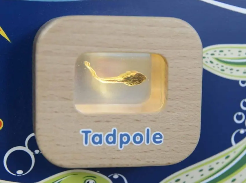 Интерактивная настенная игрушка Masterkidz ME13224 (Multicolor) - 5