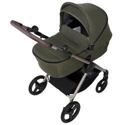 Коляска модульная 2в1 Anex iQ Premium IQ-09 (Richi)