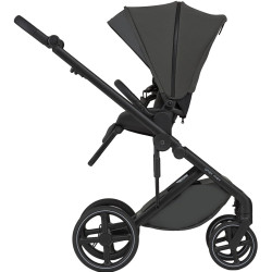 Carucior modular 2in1 Anex Mev mo-01 (Ditto) Thumb