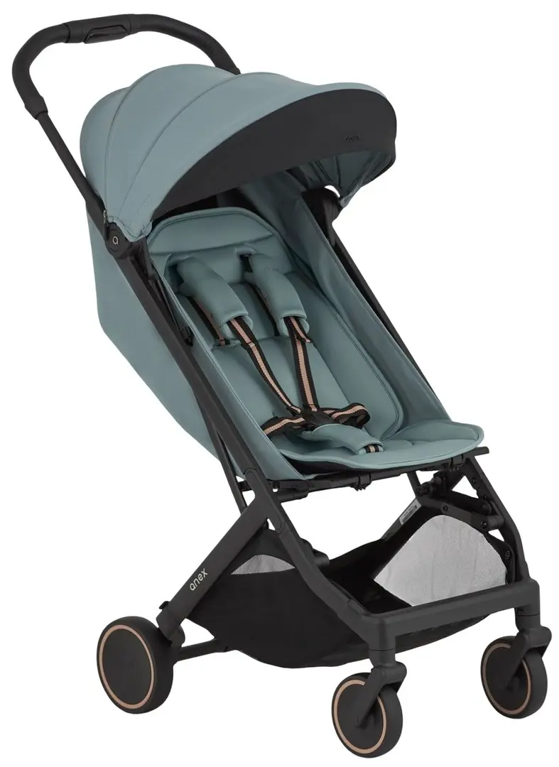 Carucior de plimbare Anex Air-X² AX2-05 (Sky)
