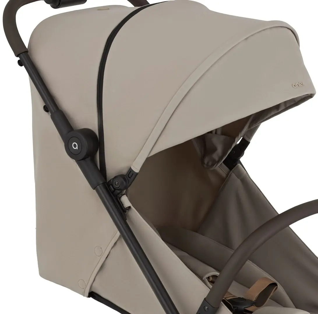 Коляска прогулочная Anex Air-Z Plus AZ-10 (Vivi)