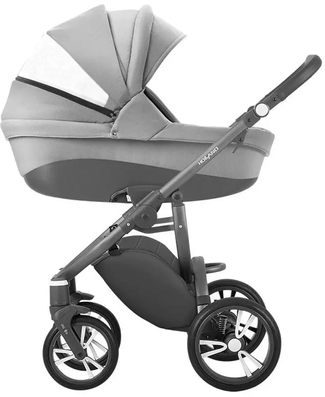 Carucior modular 2in1 Bebetto Holland w08 Graphite Frame (Grey) - 3