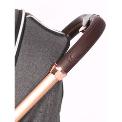 Carucior pentru plimbare Bertoni (Lorelli) Storm (Luxe Black) Thumb