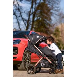 Carucior pentru plimbare Bertoni (Lorelli) Storm (Luxe Black) Thumb
