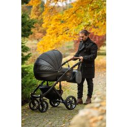 Carucior modular 2in1 Camini Frontera (Silver) Thumb