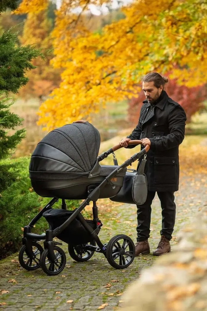 Carucior modular 2in1 Camini Frontera (Silver) - 13