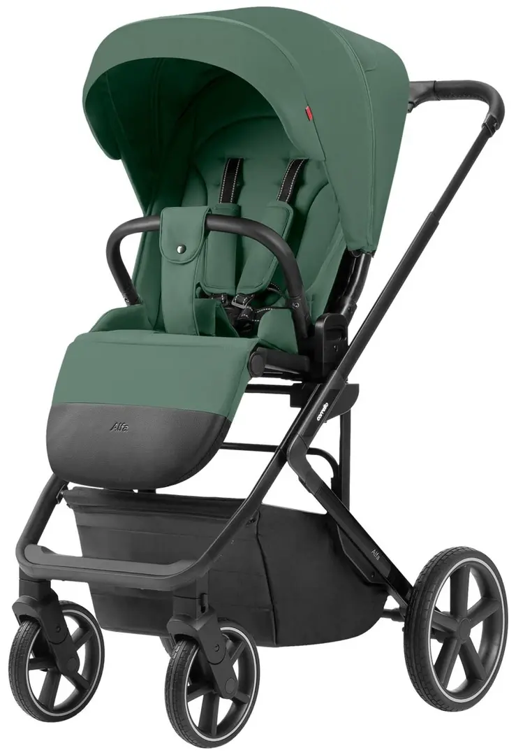 Carucior modular 2in1 Carrello Alfa (Meadow Green) - 2