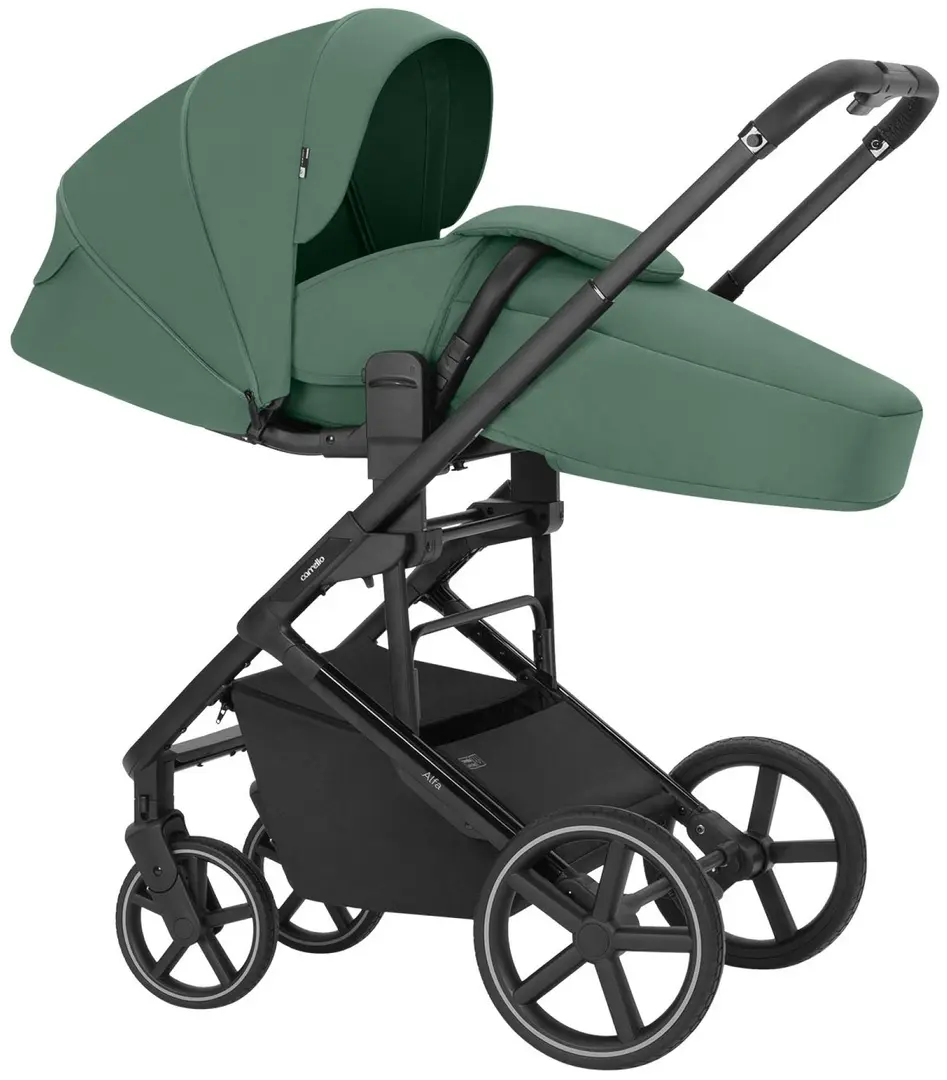 Carucior modular 2in1 Carrello Alfa (Meadow Green) - 4
