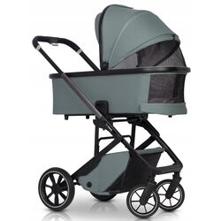 Коляска модульная 2в1 Cavoe Moi (Boho Green) Thumb