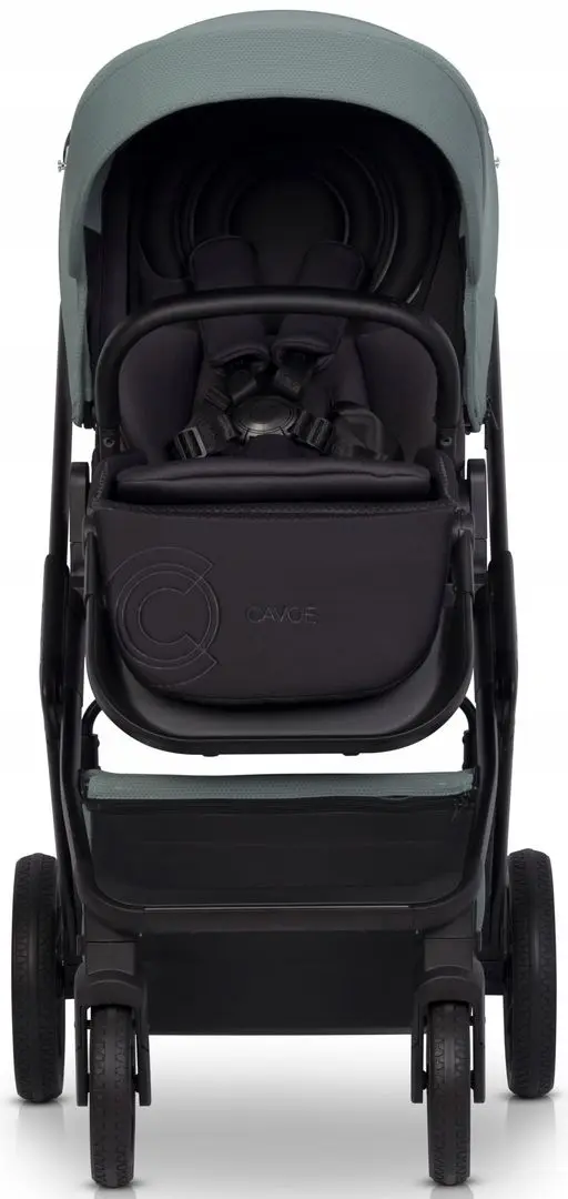 Коляска модульная 2в1 Cavoe Moi (Boho Green) - 4