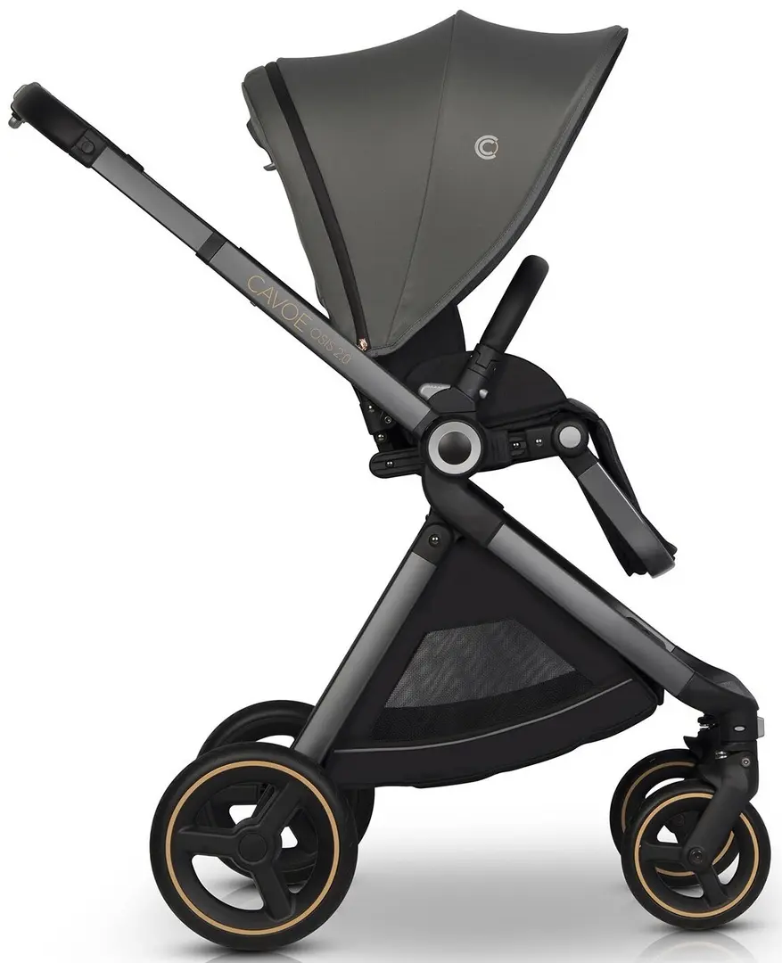 Коляска прогулочная Cavoe Osis 2.0 (Agava) - 2
