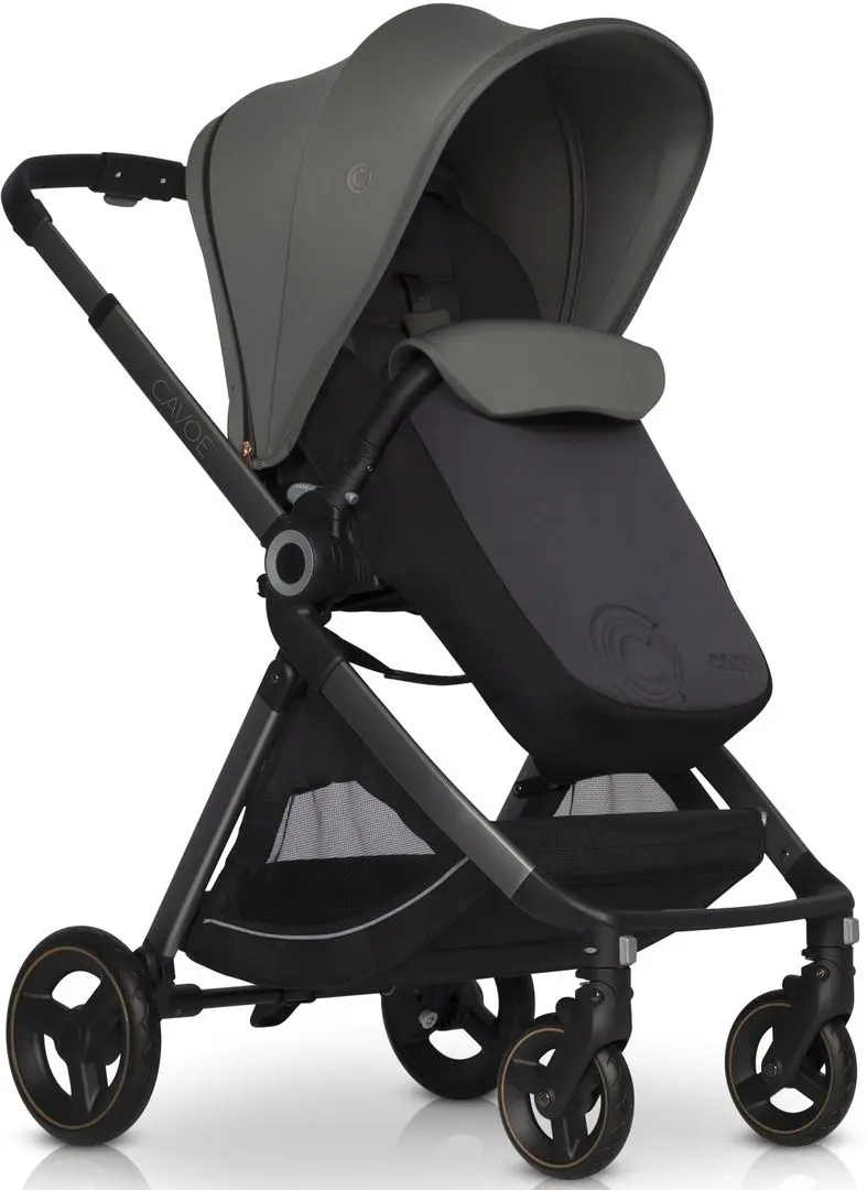 Коляска прогулочная Cavoe Osis (Agava) - 2