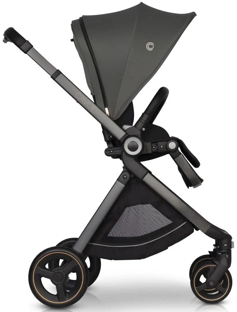 Коляска прогулочная Cavoe Osis (Agava) - 3
