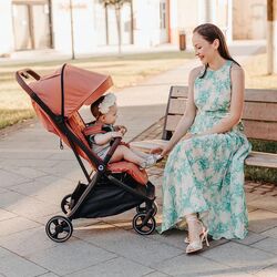 Коляска прогулочная Coccolle Lemira (Coral) Thumb