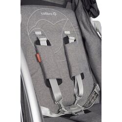 Коляска прогулочная Colibro Clip (Gray/Blue) Thumb