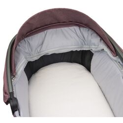 Коляска модульная 2в1 Espiro Bueno (Pink) Thumb