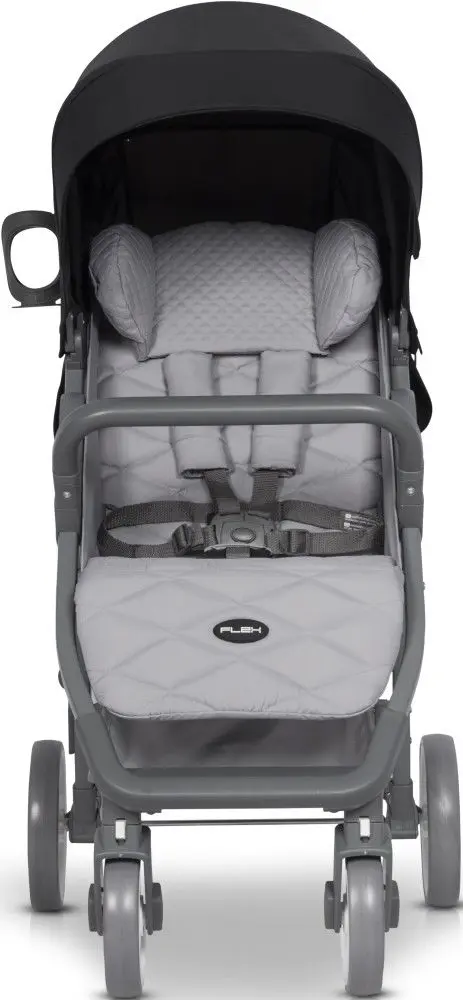 Carucior de plimbare Euro-Cart Flex (Anthracite)