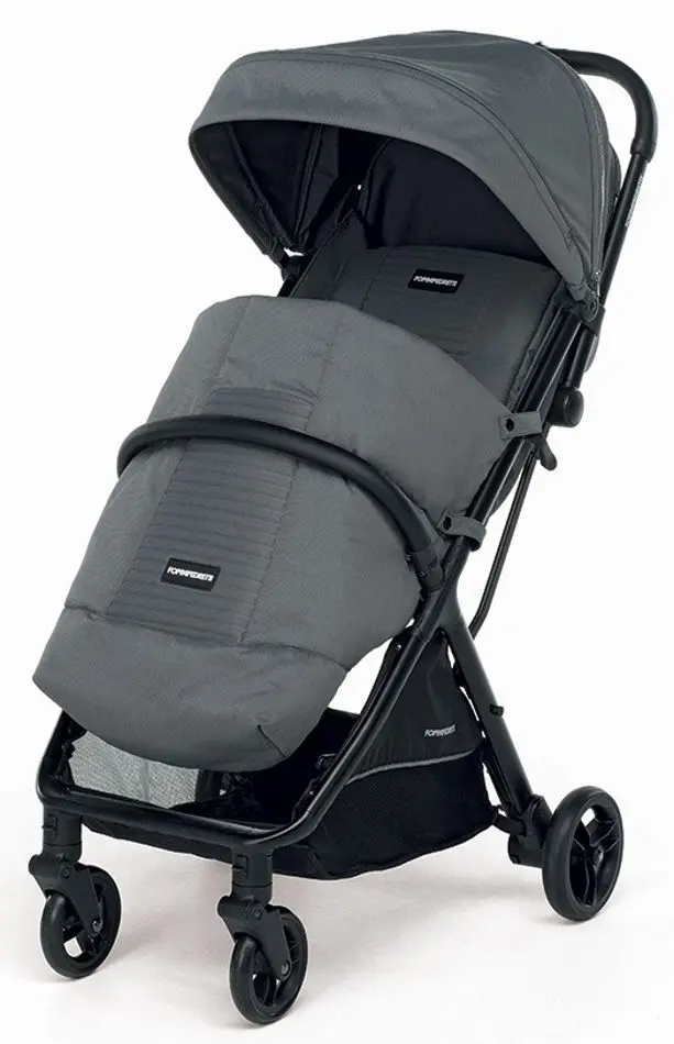 Коляска прогулочная FoppaPedretti Jumbo (Silver) - 2