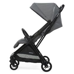 Коляска прогулочная FoppaPedretti Jumbo (Silver) Thumb