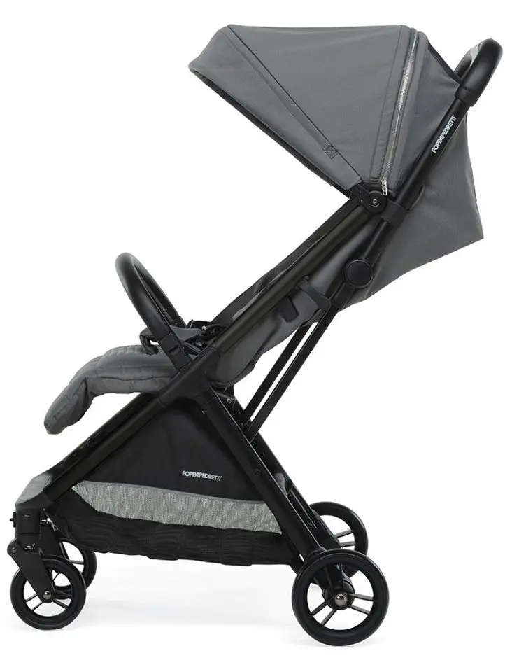 Коляска прогулочная FoppaPedretti Jumbo (Silver) - 4