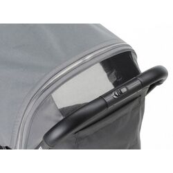 Коляска прогулочная FoppaPedretti Jumbo (Silver) Thumb