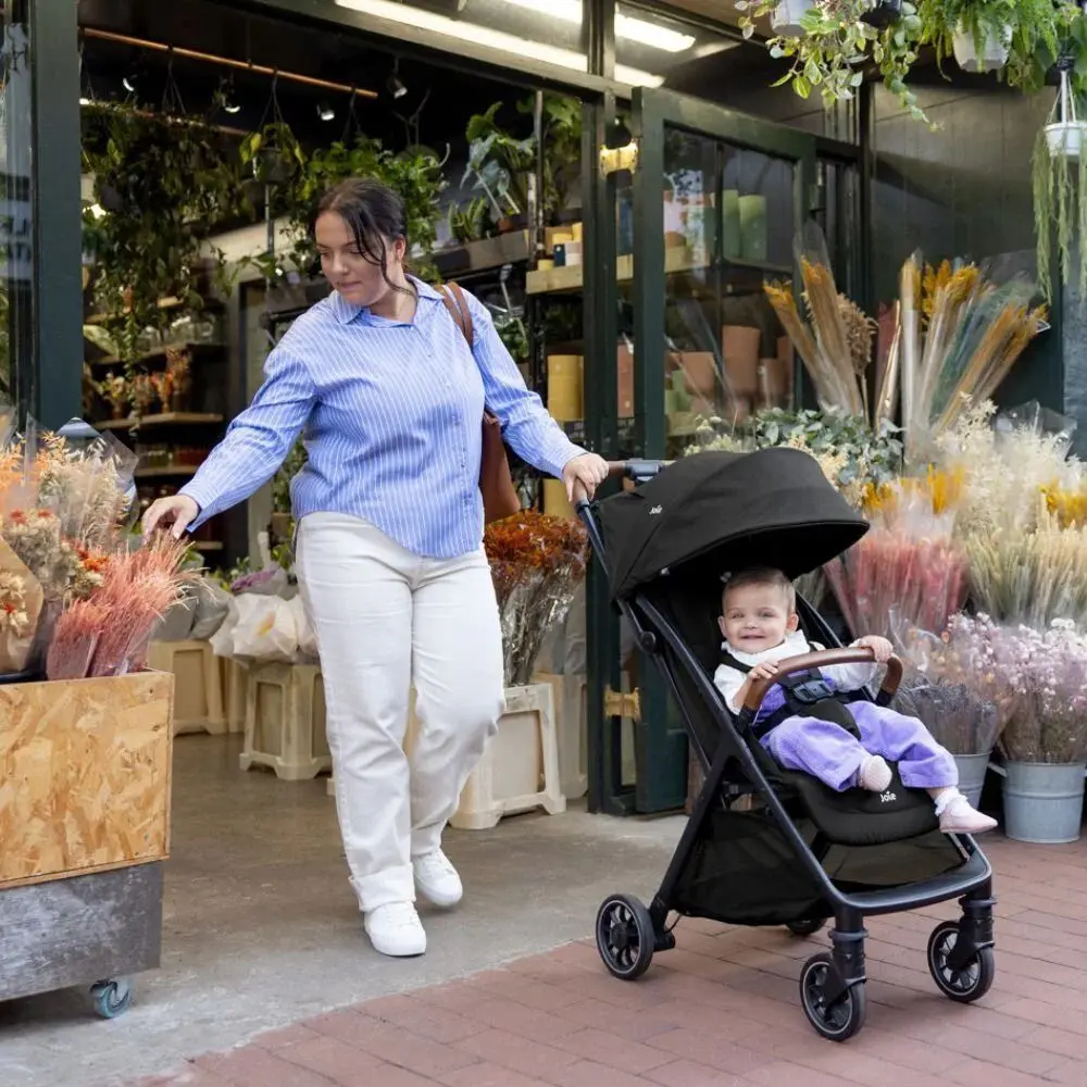 Коляска прогулочная Joie Pact Pro (Shale)