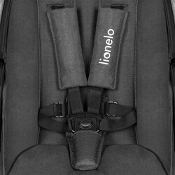 Коляска модульная 2в1 Lionelo Amber Lovin’ (Black) Thumb