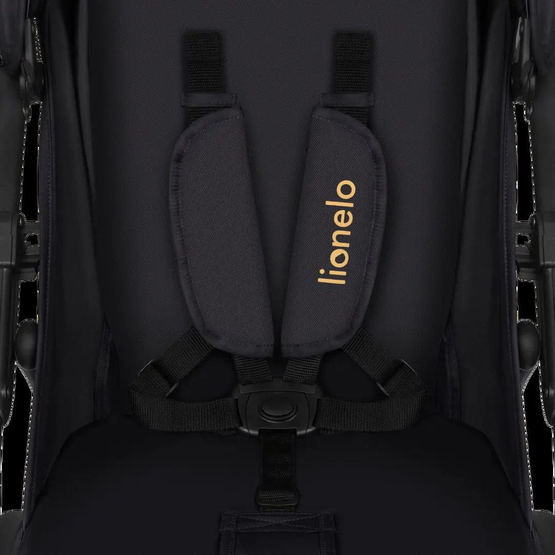 Carucior de plimbare Lionelo Annet Tour Golden Moments (Black)