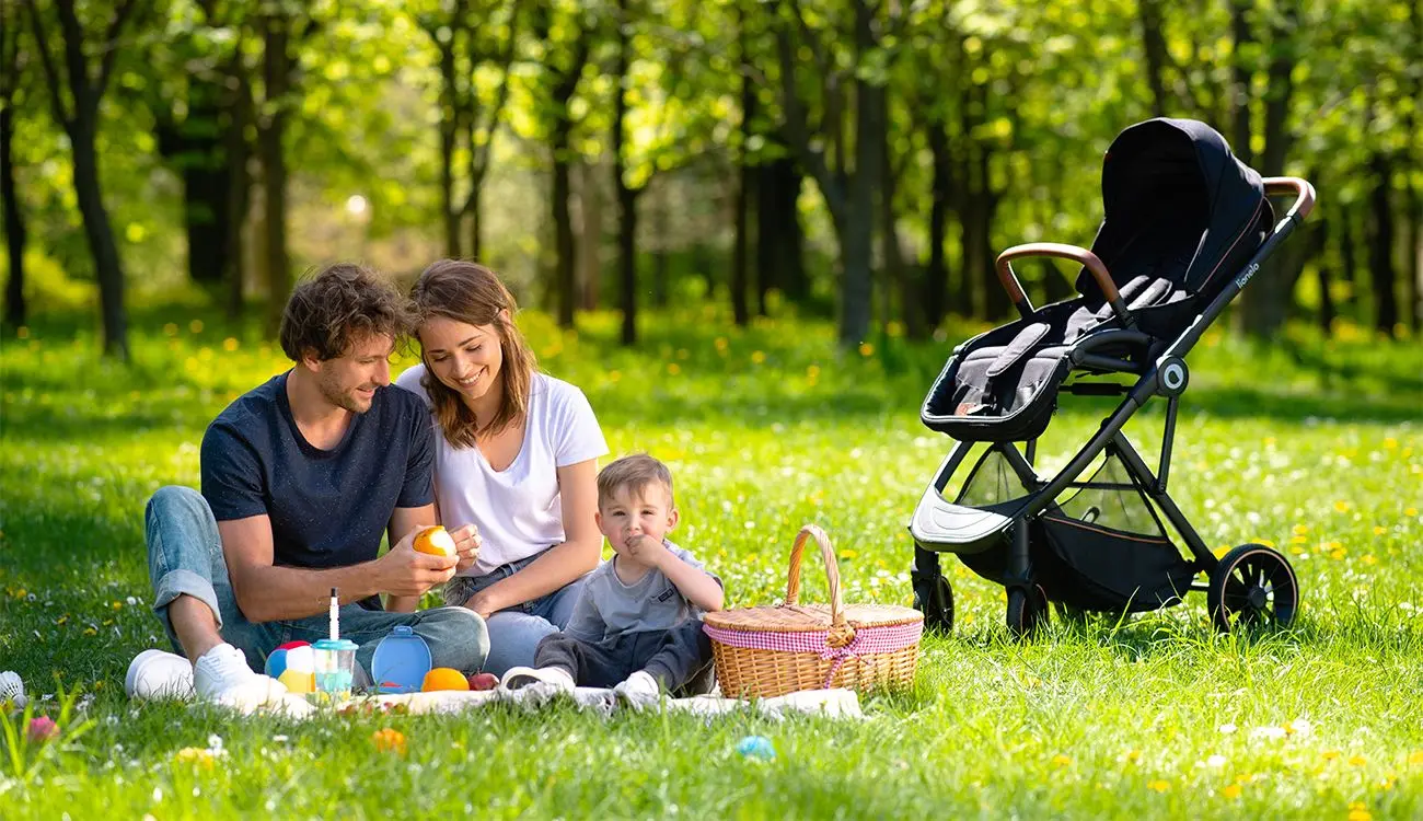 Carucior pentru plimbare Lionelo Riya (Pink-Violet) - 8