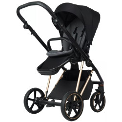 Carucior modular 2in1 Roan Ivi 2.0 (Raven/Rose Gold) Thumb
