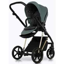 Carucior modular 2in1 Roan Ivi Pine (Green) Thumb