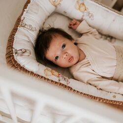 Кокон-гнездышко Albero Mio CP1 Retro Flowers (Pastel Pink) Thumb