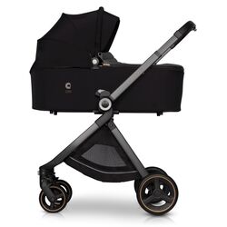 Landou Cavoe Osis (Agave) Thumb