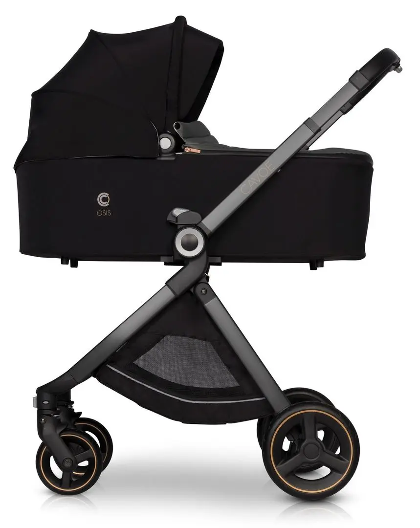 Landou Cavoe Osis (Agave) - 5