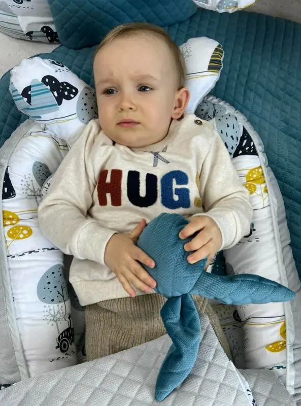 Кокон-гнездышко 4в1 MimiNu Childrens Journey + матрасик + одеяло + подушка (Grey) - 7