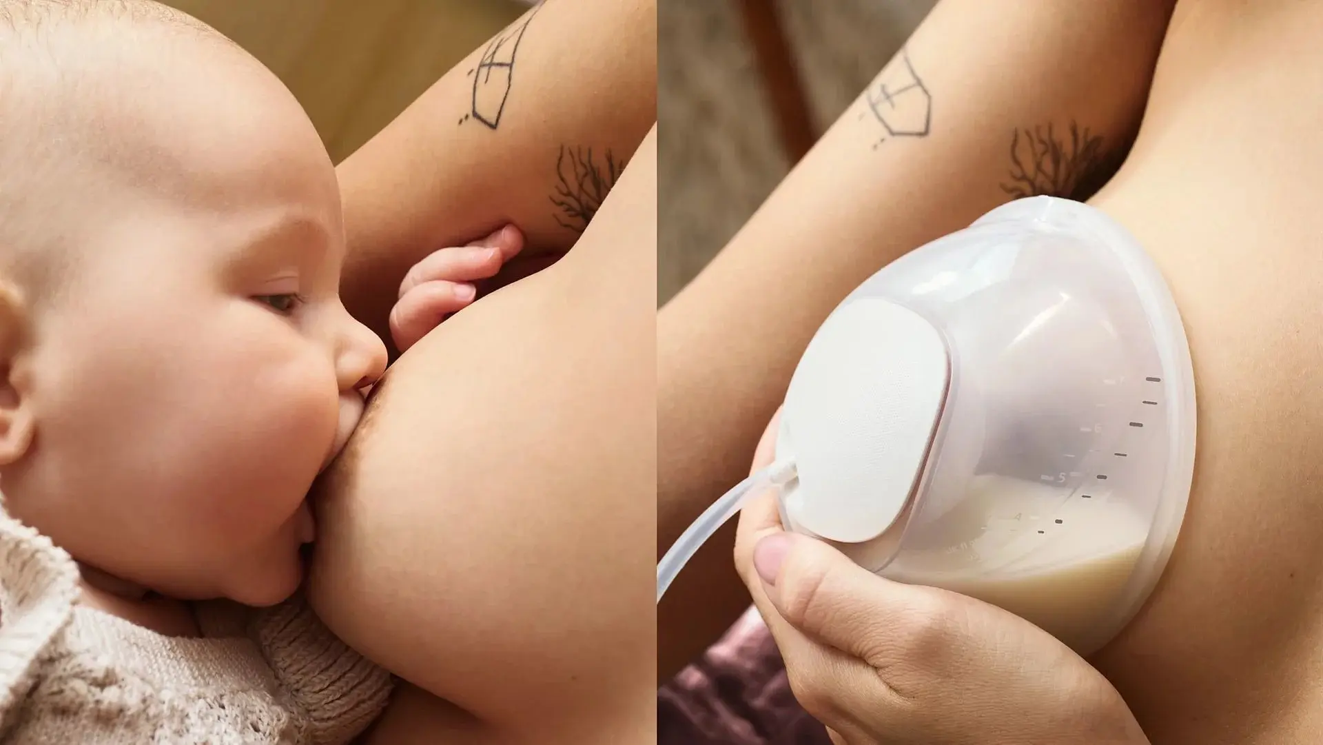 Электрический молокоотсос Philips Avent SCF532/11 (White) - 10