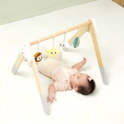 Подставка с навесными игрушками Viga Toys PolarB 44085 (Wood) Thumb