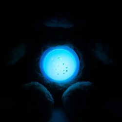 Jucarie moale cu proiector si muzica Alexis Baby Mix Bear STK-18956 (Blue/Beige) Thumb