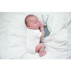 Мягкая игрушка с системой крепления пустышки BabyJem Rabbit Art-813 (Stone) Thumb